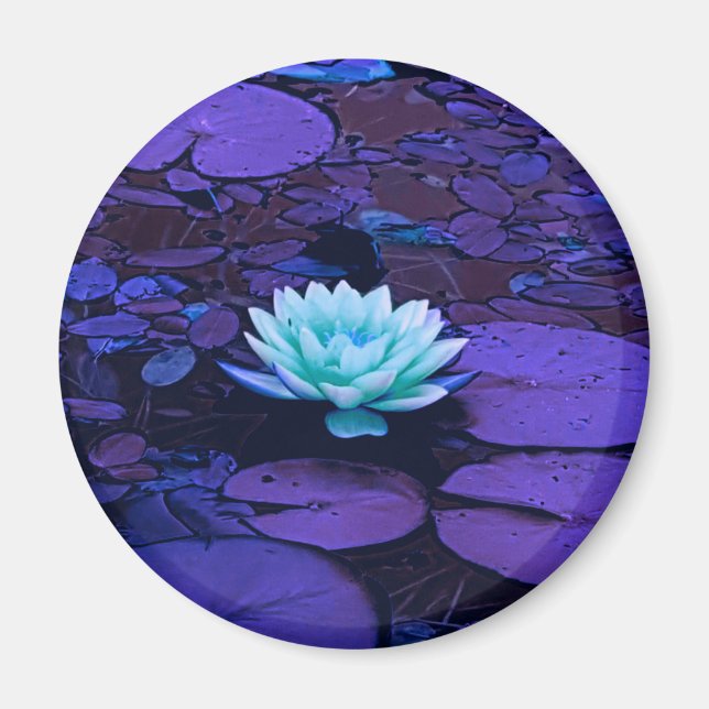 Lotus Flower Magic Lila Blue Turcos Blommigt Magnet (Framsidan)
