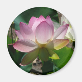 Lotus Flower Magnet