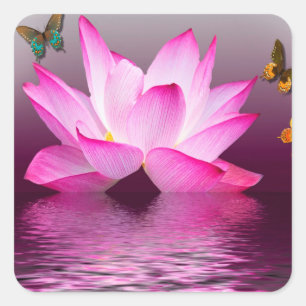 Lotus Flower med Butterfly Insekt Fyrkantigt Klistermärke
