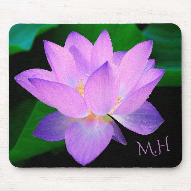 Lotus Flower Musmatta (Framsidan)