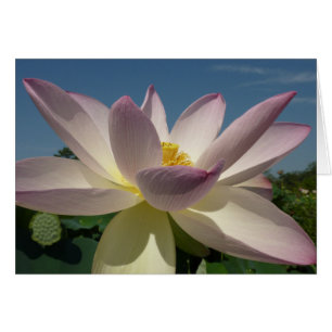 Lotus Flower och Blå himmel I Hälsningskort