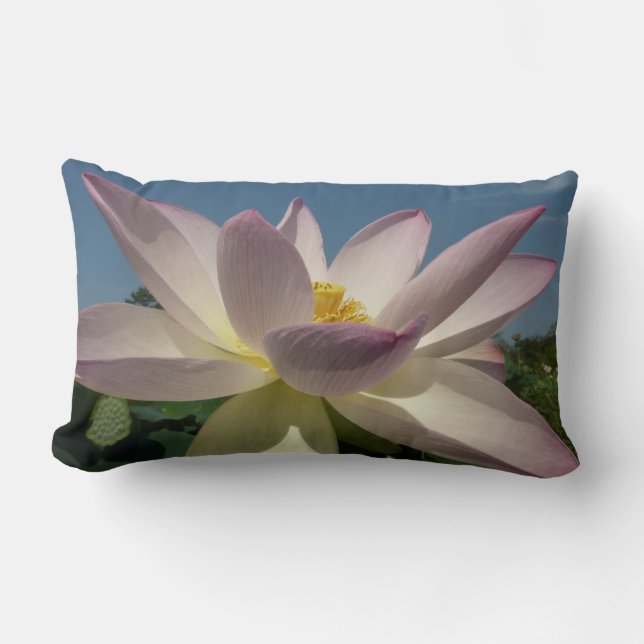Lotus Flower och Blå himmel I Lumbarkudde (Framsida)