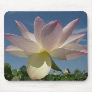 Lotus Flower och Blå himmel II Musmatta