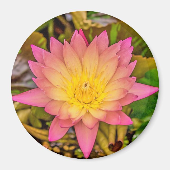 Lotus Flower of Life Magnet (Framsidan)