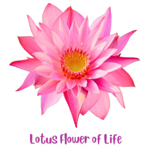Lotus Flower of Life T Shirt