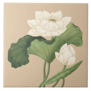 Lotus Flower of Öster India Botanical Art Kakelplatta
