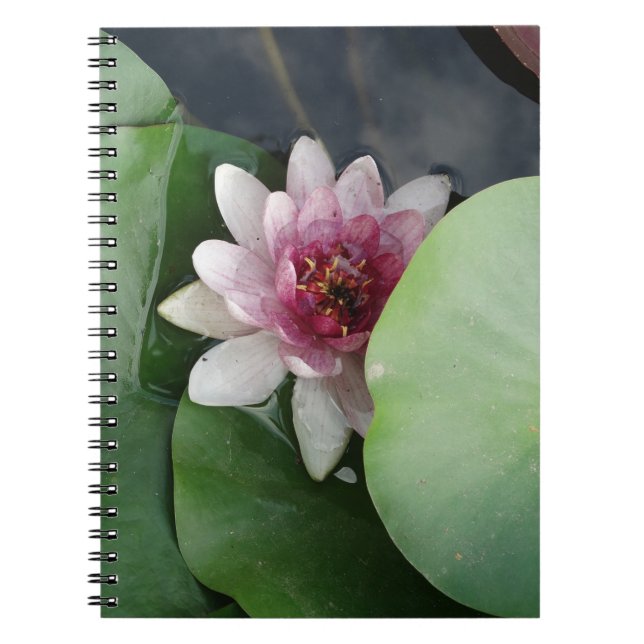 Lotus Flower Photo Notebook Anteckningsbok (Framsidan)