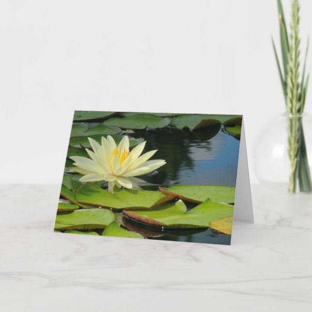 Lotus Flower (Photog.) med buddha-citat inuti Kort (Framsida)