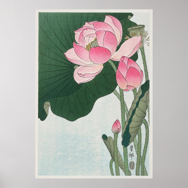 Lotus Flower Poster (Framsidan)