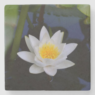 Lotus Flower Stenunderlägg
