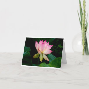 Lotus Flower - tomt mappat kort