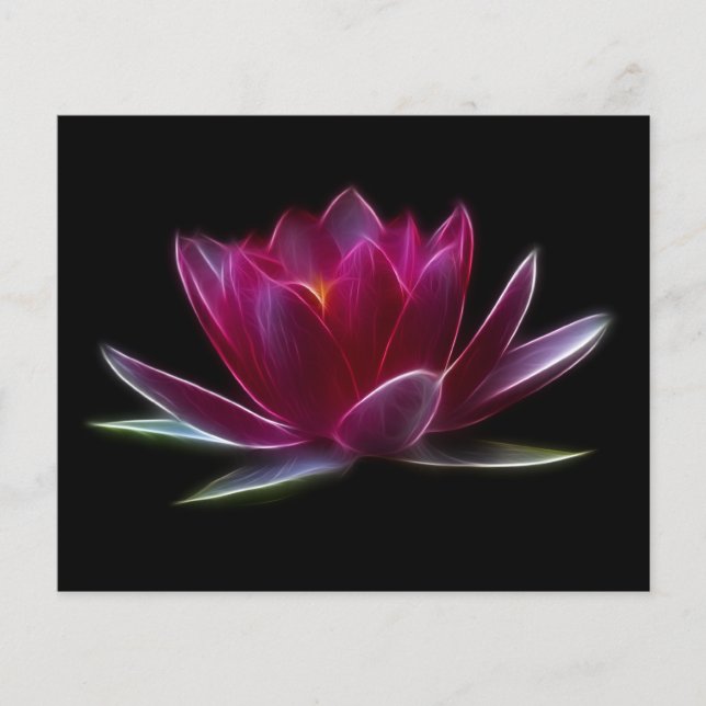 Lotus Flower Vatten Plant Flygblad (Framsidan)
