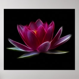 Lotus Flower Vatten Plant Poster
