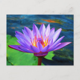 Lotus Flower Vykort