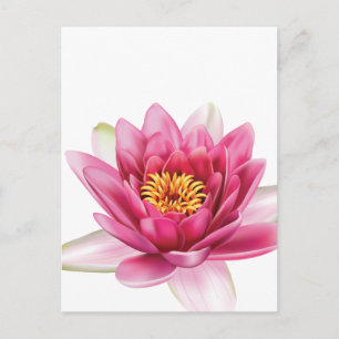 Lotus Flower Vykort