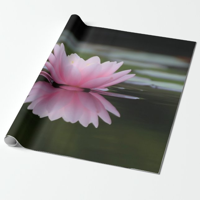 Lotus Flower , Zen Presentpapper (Utrullad)