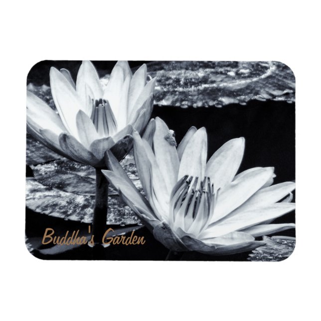 Lotus Flowers & Buddhas Secret Garden/Meditation Magnet (Horisontell)