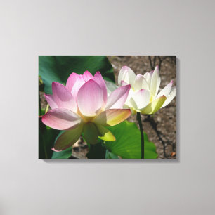 Lotus Flowers I-par Canvastryck