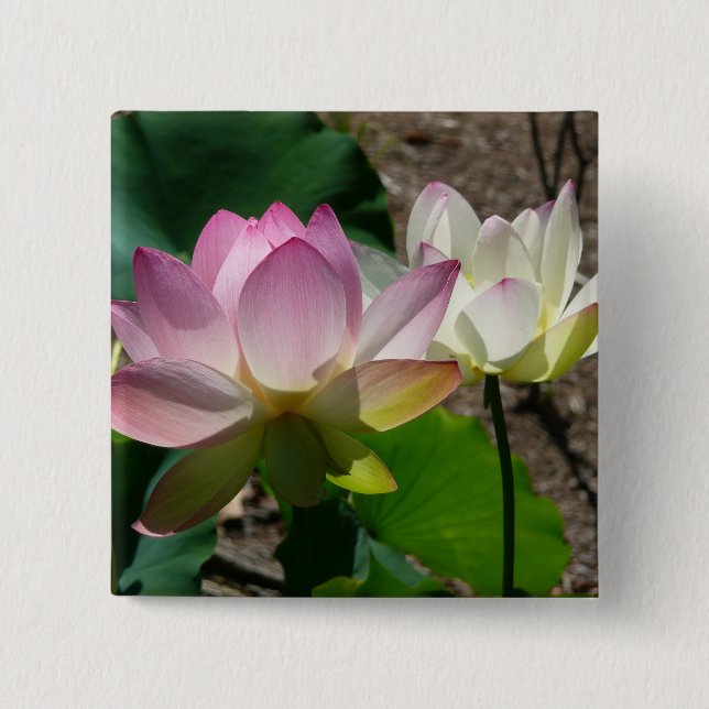 Lotus Flowers I-par Knapp (Framsida)