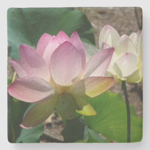 Lotus Flowers I-par Stenunderlägg