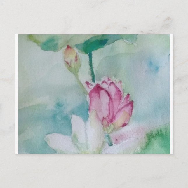 lotus helg vykort (Framsida)