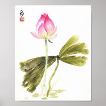 Lotus i stillsamhet