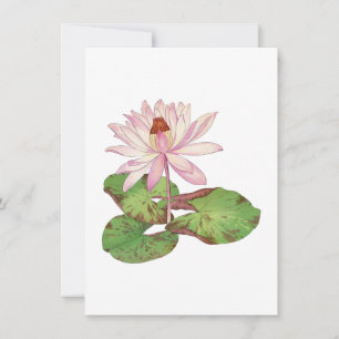 Lotus illustration, vintage Japansk ukiyo e art Anteckningskort