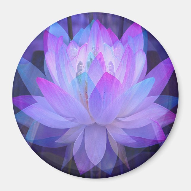 Lotus in Blue... Magnet (Framsidan)