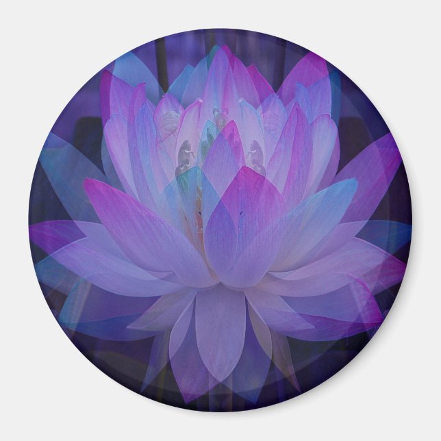 Lotus in Blue... Magnet (Framsidan)