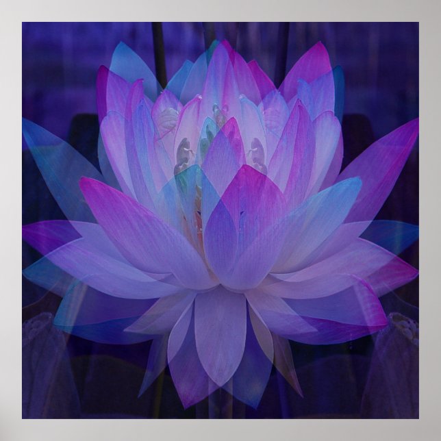 Lotus in Blue... Poster (Framsidan)