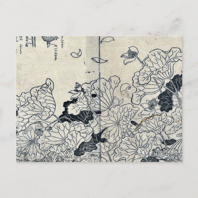Lotus in vind by Tachibana,Yasukuni Vykort (Framsida)