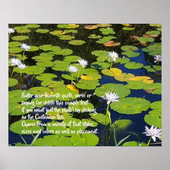 Lotus Lily Pad Nature Photo | Frivillig betalning Poster (Framsidan)