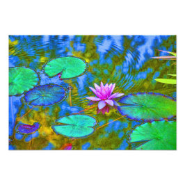Lotus Lily Pad Vatten Lily i en italiensk Garden Fototryck