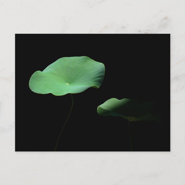 Lotus Lövs Meddelande Vykort (Framsida)