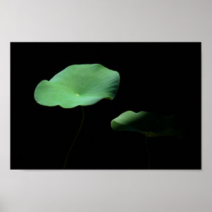 Lotus Lövs Poster