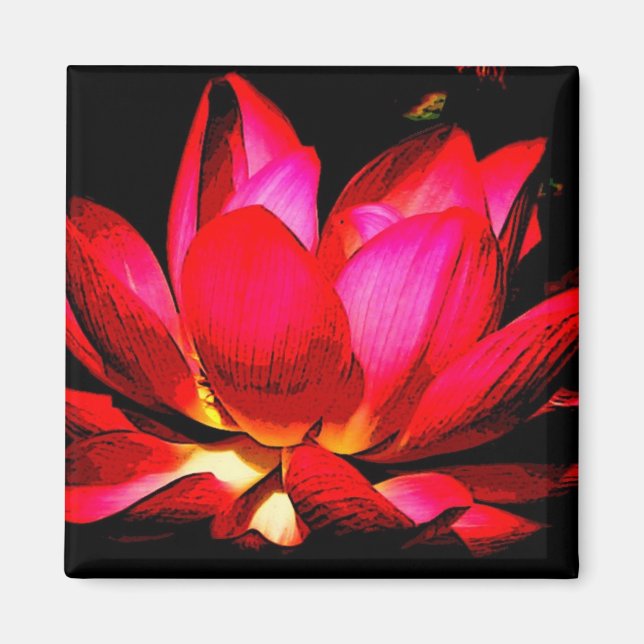 Lotus Magnet (Framsidan)