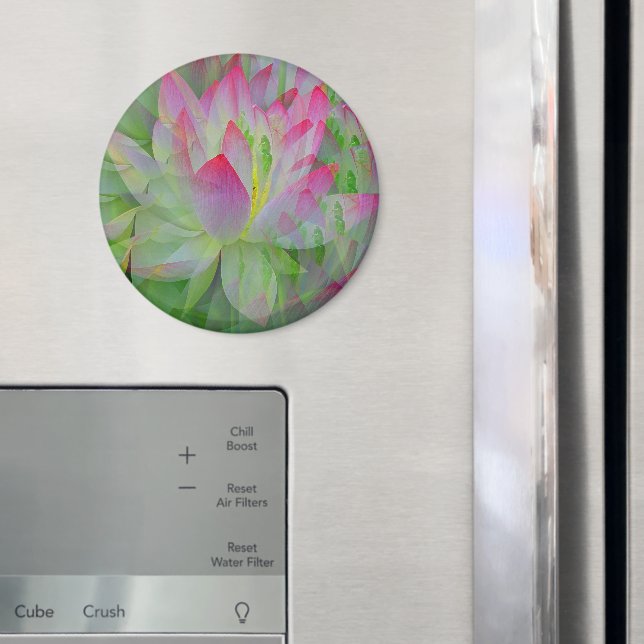 Lotus...... Magnet (In Situ (Fridge))