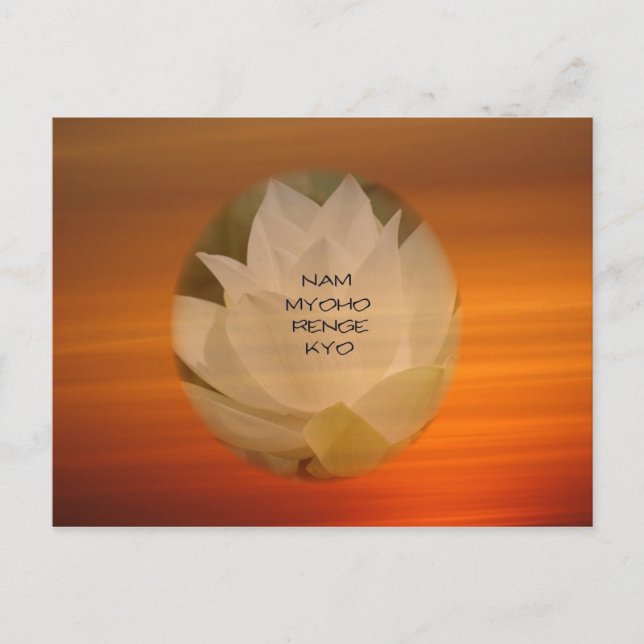 Lotus ’Nam Myoho Renge Kyo’ SGI Buddhist Postcard Vykort (Framsida)