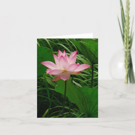 Lotus Notecard Tack Kort