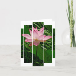 Lotus Notecard Tack Kort