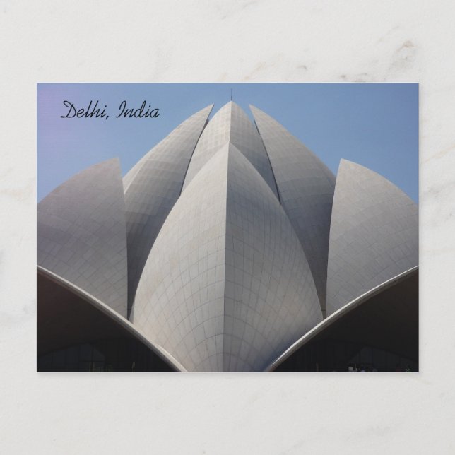 lotus petals vykort (Framsida)