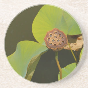 Lotus Pod och Lilly Pad Underlägg Sandsten