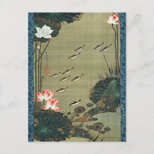 Lotus Pond och Fish Illustration av Ito Jakuchu Vykort