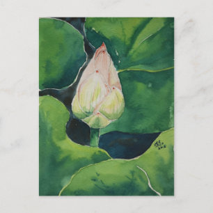 Lotus Postcard Vykort