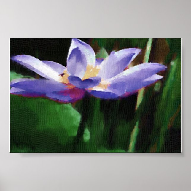 lotus poster (Framsidan)