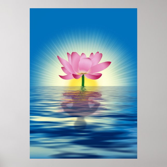 Lotus Reflection Poster (Framsidan)