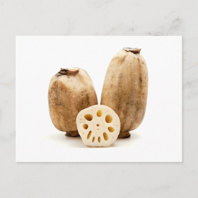 Lotus root vykort (Framsida)