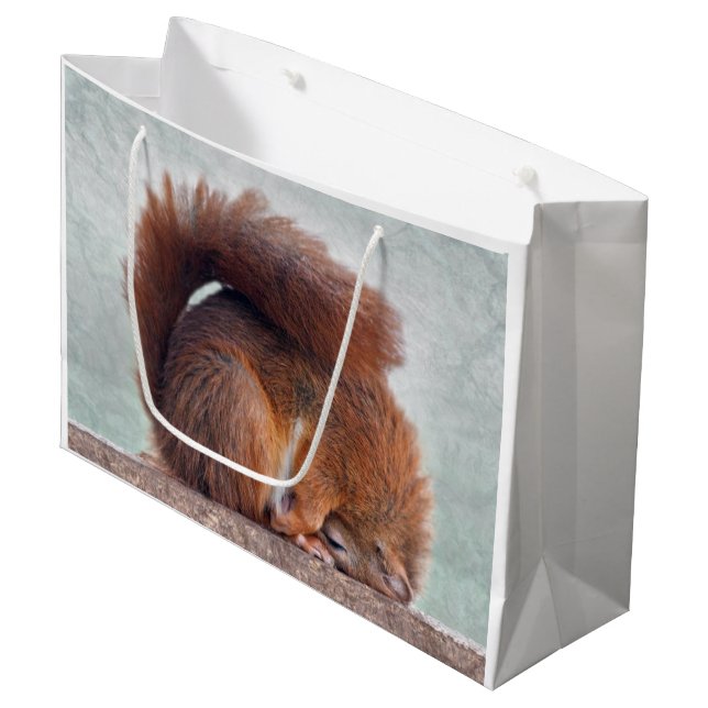 Lotus Squirrel Presentpåse (Framsidan Vinklad)