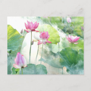 Lotus Summer, eterfotografi, Vykort