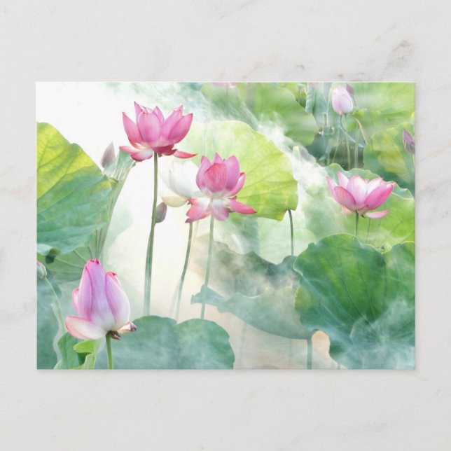 Lotus Summer, eterfotografi, Vykort (Framsida)